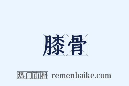 膝骨是什么意思的图片